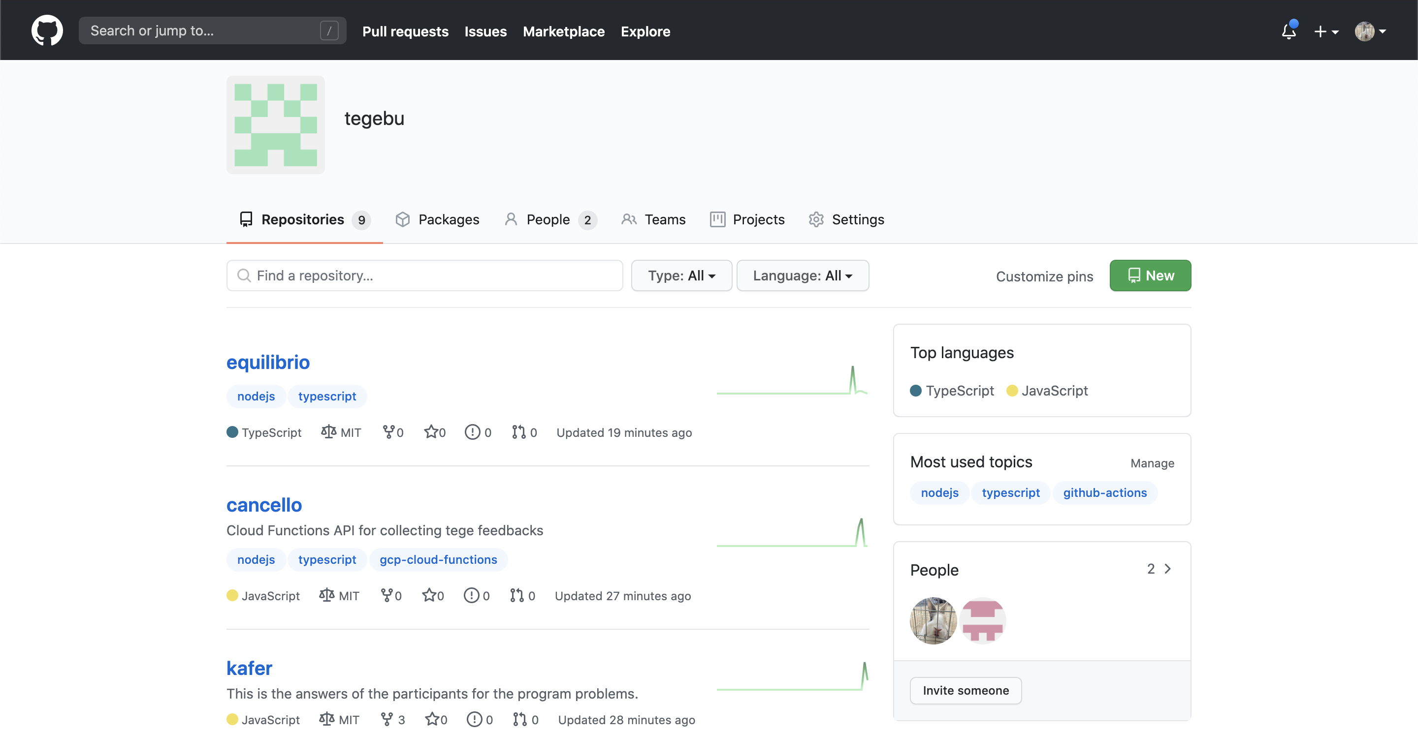 Github organization tegebu